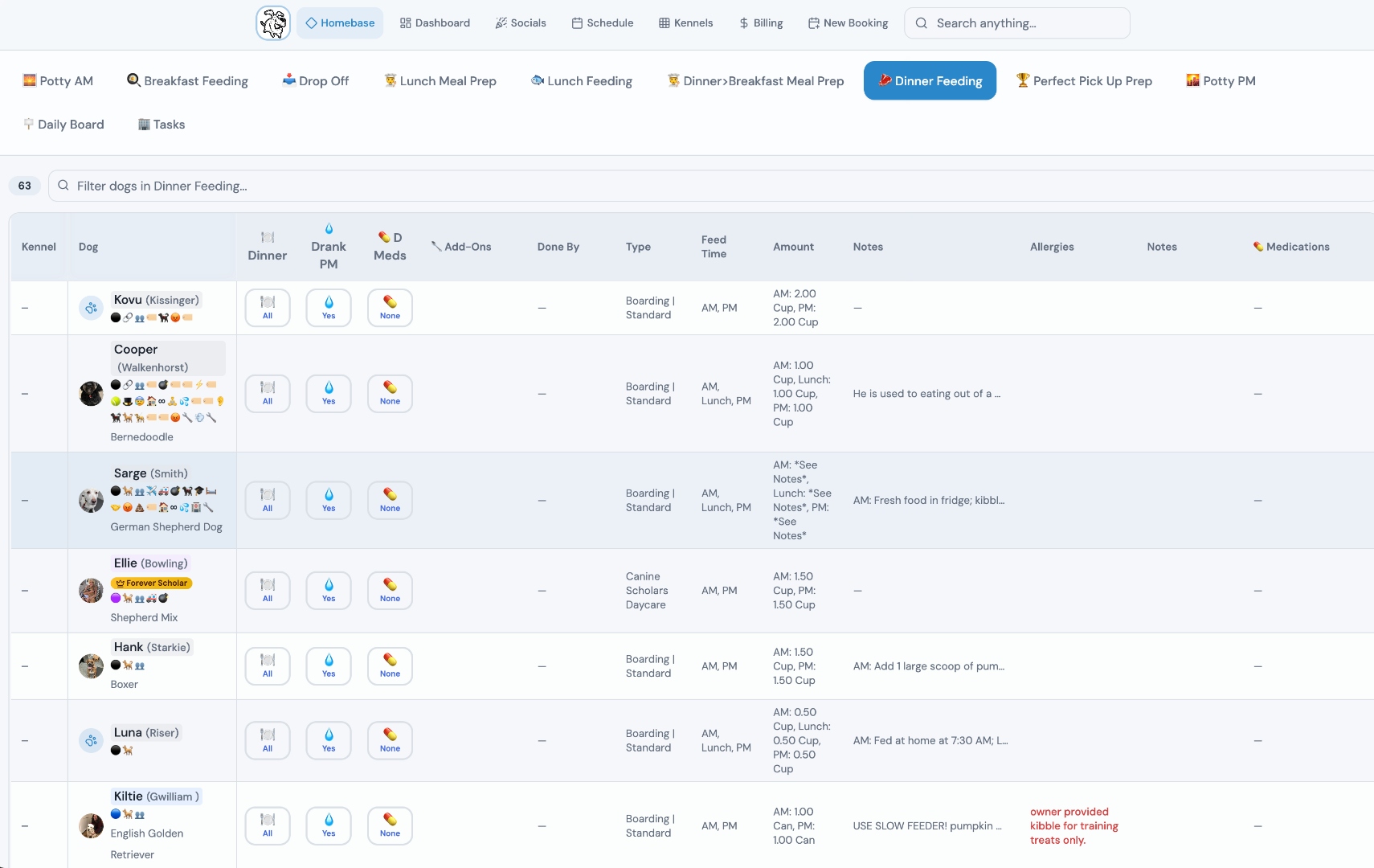 Dog Command Center dinner feeding view showing 63 dogs with feeding amounts, medication tracking, allergy alerts in red, and workflow tabs for every meal of the day
